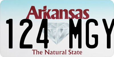AR license plate 124MGY