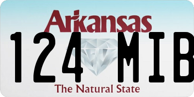 AR license plate 124MIB