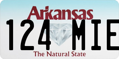 AR license plate 124MIE