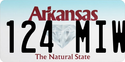 AR license plate 124MIW