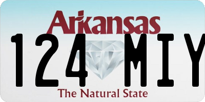 AR license plate 124MIY