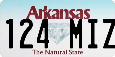 AR license plate 124MIZ