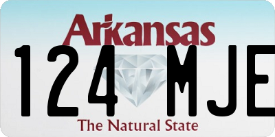 AR license plate 124MJE