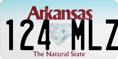 AR license plate 124MLZ