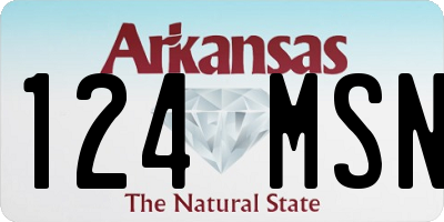 AR license plate 124MSN