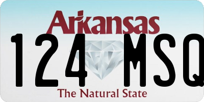 AR license plate 124MSQ