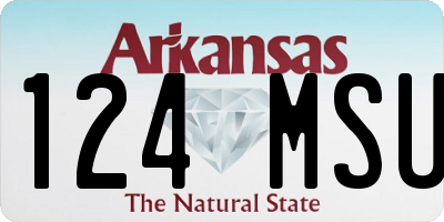 AR license plate 124MSU