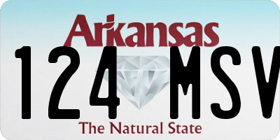 AR license plate 124MSV