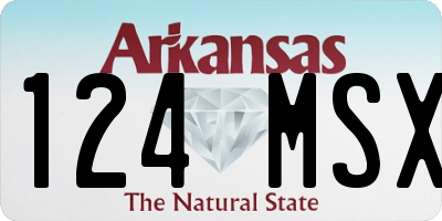 AR license plate 124MSX