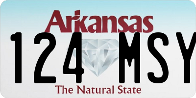 AR license plate 124MSY