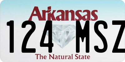 AR license plate 124MSZ
