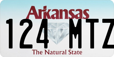 AR license plate 124MTZ