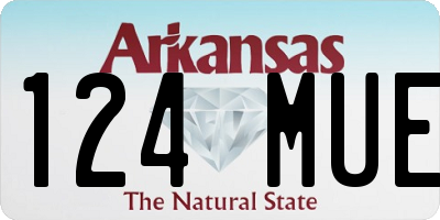 AR license plate 124MUE