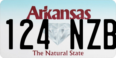 AR license plate 124NZB