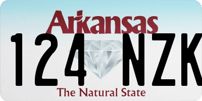 AR license plate 124NZK