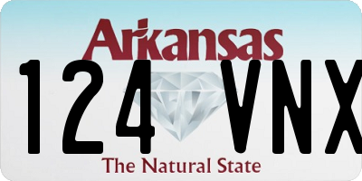AR license plate 124VNX