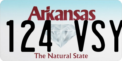 AR license plate 124VSY