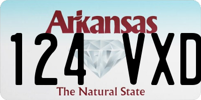 AR license plate 124VXD