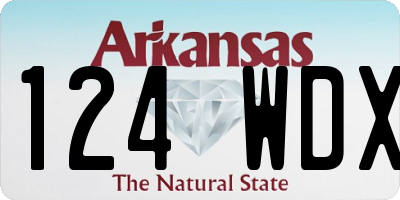 AR license plate 124WDX