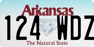 AR license plate 124WDZ