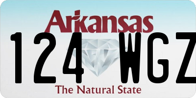 AR license plate 124WGZ