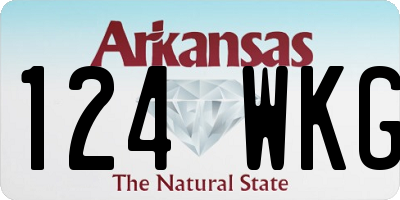 AR license plate 124WKG
