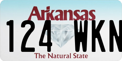 AR license plate 124WKN