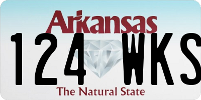 AR license plate 124WKS