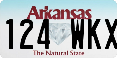AR license plate 124WKX