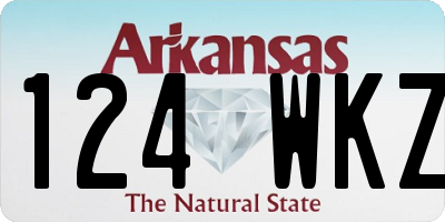 AR license plate 124WKZ