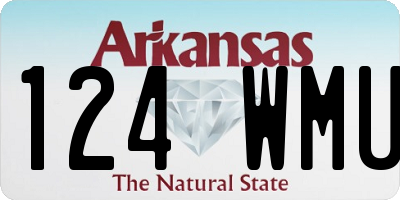 AR license plate 124WMU