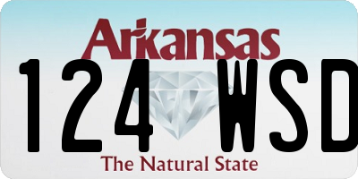 AR license plate 124WSD