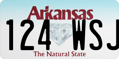 AR license plate 124WSJ