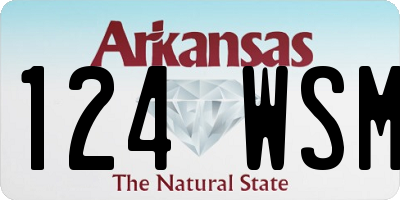 AR license plate 124WSM