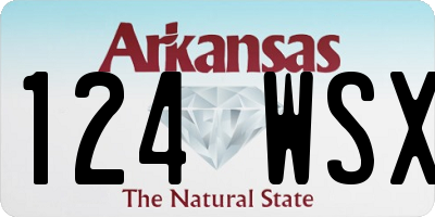 AR license plate 124WSX