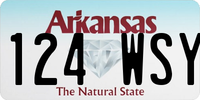 AR license plate 124WSY