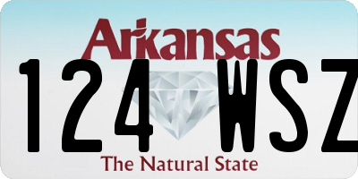 AR license plate 124WSZ