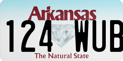 AR license plate 124WUB