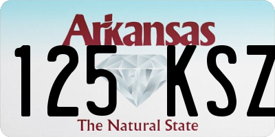 AR license plate 125KSZ