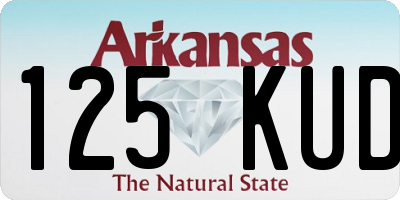 AR license plate 125KUD