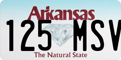 AR license plate 125MSV