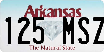 AR license plate 125MSZ