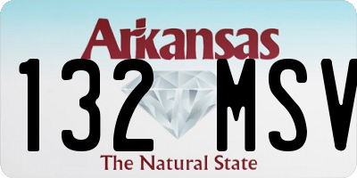AR license plate 132MSV