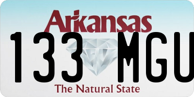 AR license plate 133MGU