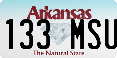 AR license plate 133MSU