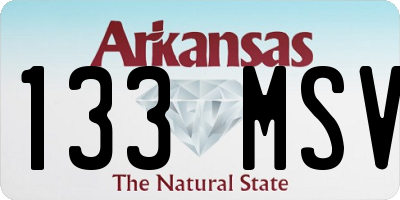 AR license plate 133MSV