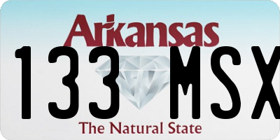 AR license plate 133MSX