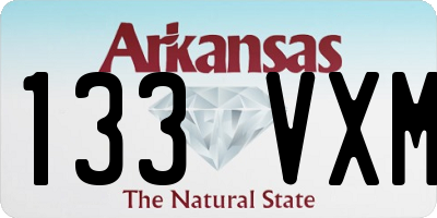 AR license plate 133VXM
