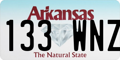 AR license plate 133WNZ