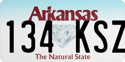 AR license plate 134KSZ